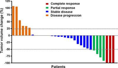 Apatinib Plus Temozolomide: An Effective Salvage Treatment for Recurrent Glioblastoma